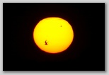 Seagull and Venus transit the Sun June 2012