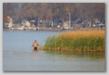 Duck hunting at Grass Island