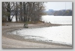 Duck hunter in a blind on Beaver Island State Park beach