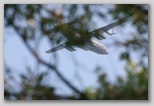 C-130 Hercules flyover