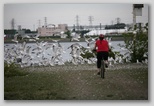 Riding into a Flock of Seagulls